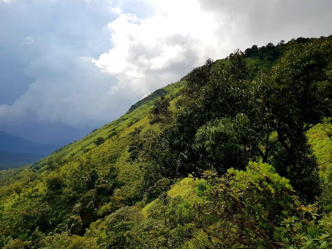 Bangalore to Chikmagalur tempo traveller